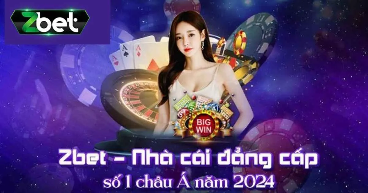 Những đóng góp nổi bật của tác giả Zbet