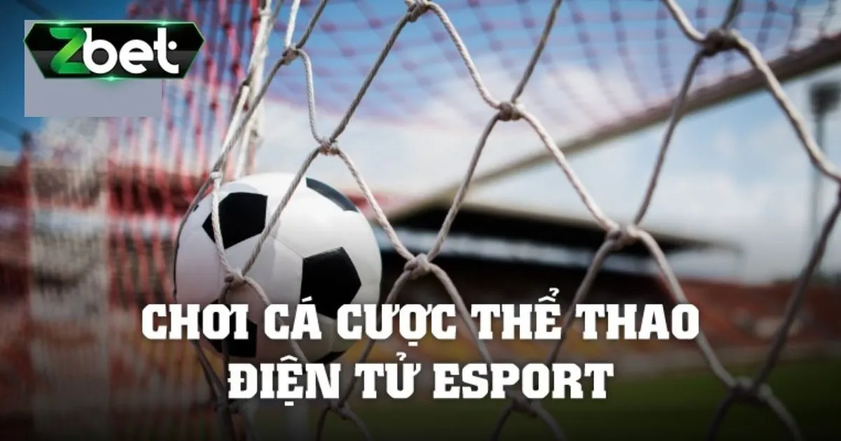 Mẹo cá cược eSports thắng lớn cho tân thủ