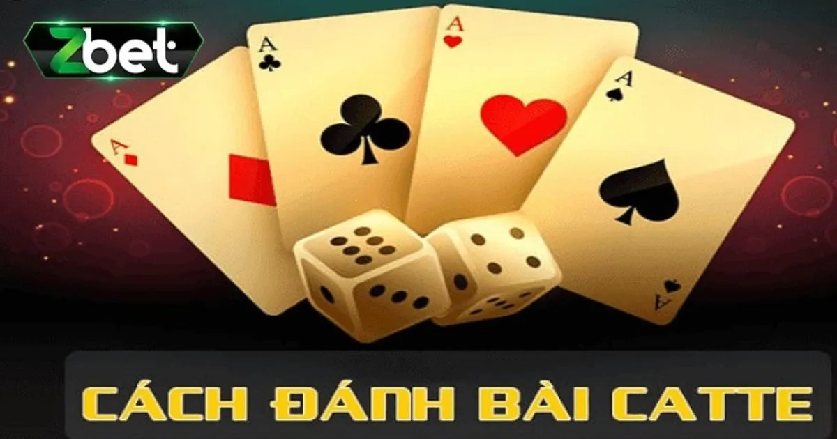 Game Bài Catte - Tổng Hợp Cách Chơi Dễ Thắng Nhất