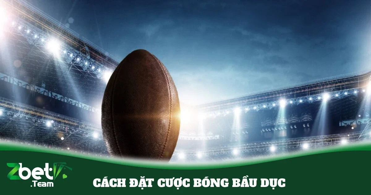 cach dat cuoc bong bau duc 4